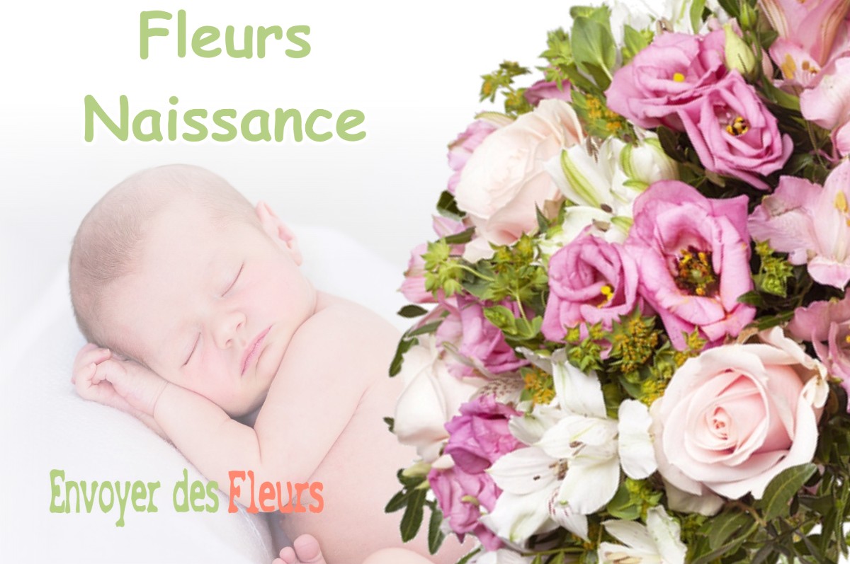 lIVRAISON FLEURS NAISSANCE à BONNAUD